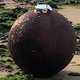 Image for article titled Police Investigate Bomb Scare, Find 'Giant Glittery' Christmas Ornament Instead